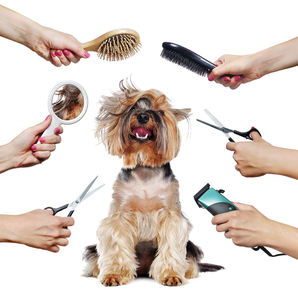 FurAway-dog-grooming-tips